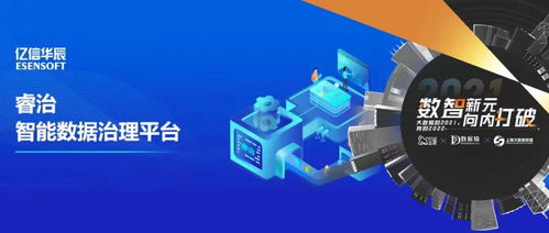 億信華辰睿治VIP策略 打造數(shù)據(jù)治理最佳實踐的數(shù)據(jù)處理與存儲支持服務(wù)