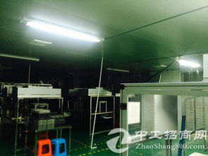 黃江鎮(zhèn)大型電子廠二樓無塵車間2350㎡分租，助力電子科技企業(yè)高質(zhì)量發(fā)展
